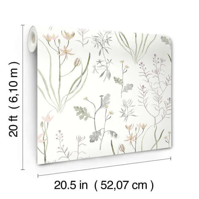 York Wallcoverings Alpine Botanical - Lavender Wallpaper | Buy Online York Wallcoverings Alpine Botanical wallpaper, color Lavender, SKU PSW1521RL