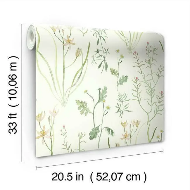 York Wallcoverings Alpine Botanical - White Wallpaper | Buy Online York Wallcoverings Alpine Botanical wallpaper, color White, SKU NR1565