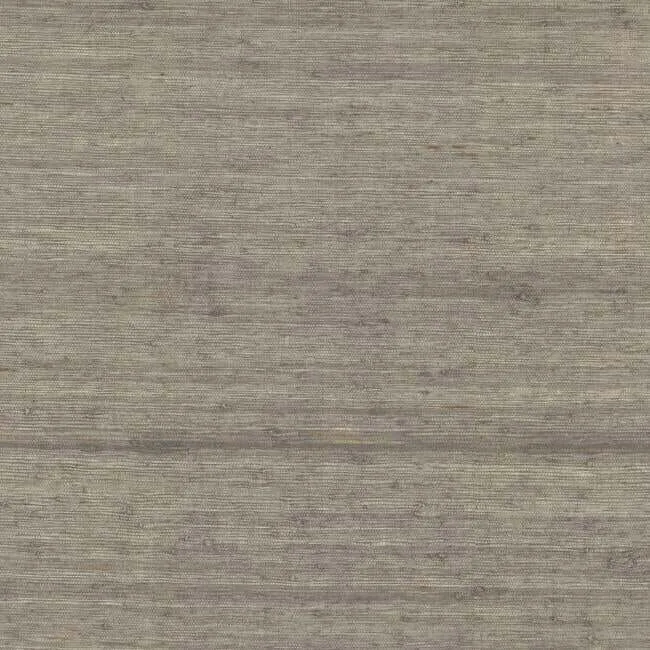 York Wallcoverings Arrowroot wallpaper, color Brown, SKU CV4403