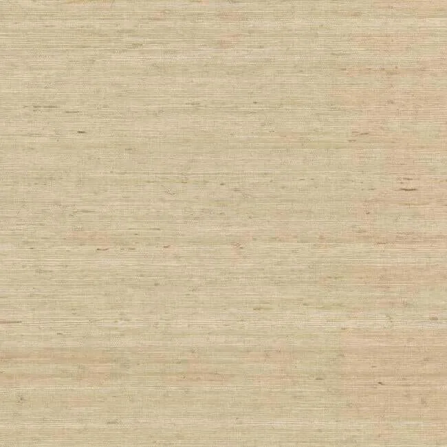 York Wallcoverings Arrowroot wallpaper, color Cream, SKU CV4401