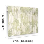 York Wallcoverings Aspen Grove - Green Wallpaper | Buy Online York Wallcoverings Aspen Grove wallpaper, color Green, SKU GN2601