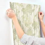 York Wallcoverings Aspen Grove - Green Wallpaper | Buy Online York Wallcoverings Aspen Grove wallpaper, color Green, SKU GN2601