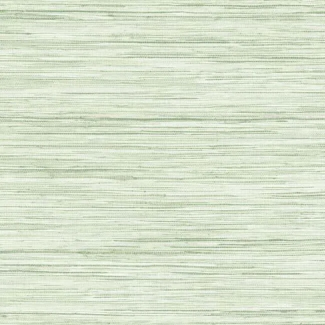 York Wallcoverings Bahiagrass wallpaper, color Green, SKU CV4413