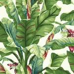 York Wallcoverings Banana Leaf - Aqua & Red Wallpaper | Buy Online York Wallcoverings Banana Leaf wallpaper, color Aqua & Red, SKU AT7068