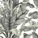 York Wallcoverings Banana Leaf - White & Black Wallpaper | Buy Online York Wallcoverings Banana Leaf wallpaper, color White & Black, SKU PSW1037RL