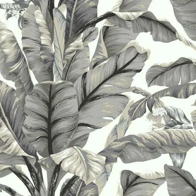 York Wallcoverings Banana Leaf wallpaper, color White & Black, SKU PSW1037RL