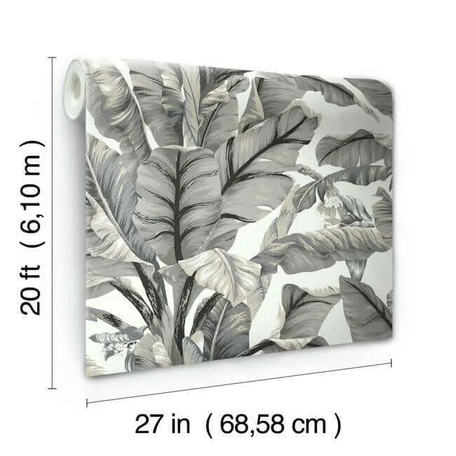 York Wallcoverings Banana Leaf - White & Black Wallpaper | Buy Online York Wallcoverings Banana Leaf wallpaper, color White & Black, SKU PSW1037RL