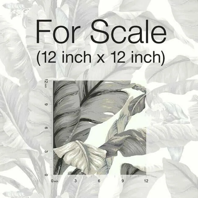 York Wallcoverings Banana Leaf - White & Black Wallpaper | Buy Online York Wallcoverings Banana Leaf wallpaper, color White & Black, SKU PSW1037RL