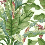 York Wallcoverings Banana Leaf - White & Green Wallpaper | Buy Online York Wallcoverings Banana Leaf wallpaper, color White & Green, SKU PSW1034RL