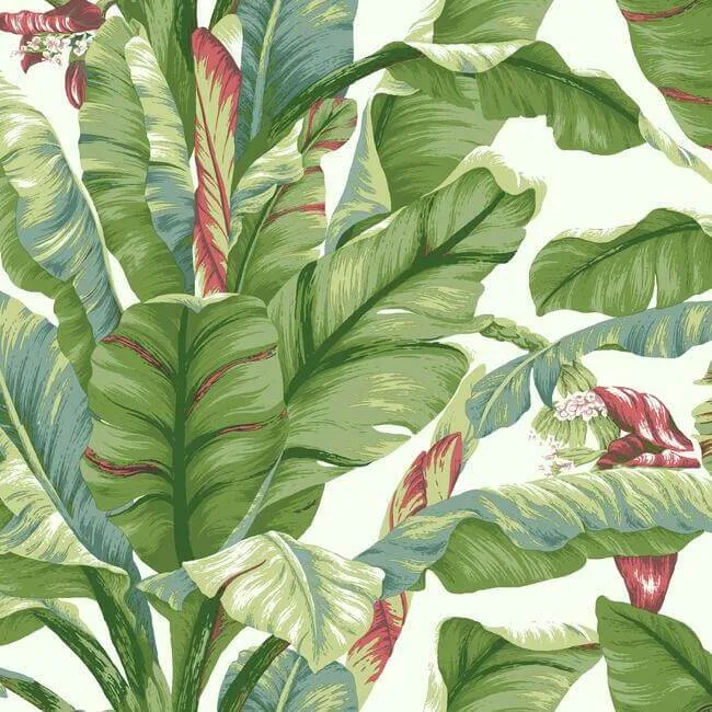 York Wallcoverings Banana Leaf wallpaper, color White & Green, SKU PSW1034RL