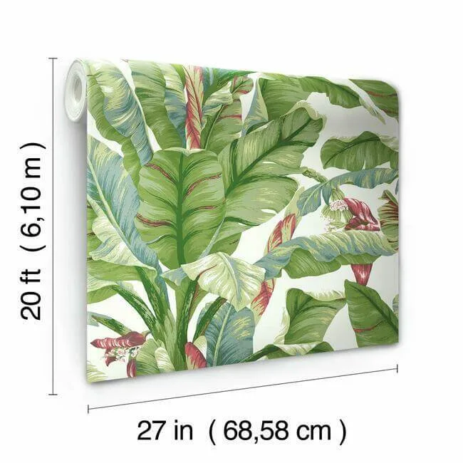 York Wallcoverings Banana Leaf - White & Green Wallpaper | Buy Online York Wallcoverings Banana Leaf wallpaper, color White & Green, SKU PSW1034RL