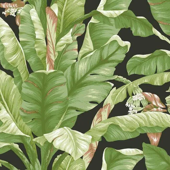 York Wallcoverings Banana Leaf wallpaper, color Black & Green, SKU PSW1035RL
