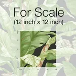York Wallcoverings Banana Leaf wallpaper, color Black & Green, SKU PSW1035RL