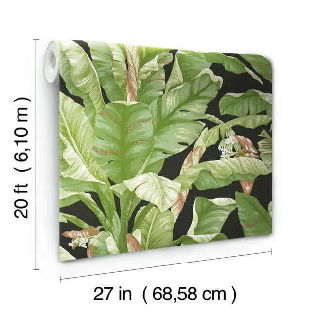 York Wallcoverings Banana Leaf wallpaper, color Black & Green, SKU PSW1035RL