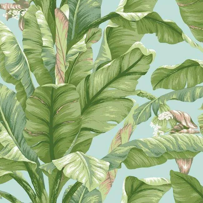 York Wallcoverings Banana Leaf wallpaper, color Blue & Green, SKU PSW1036RL