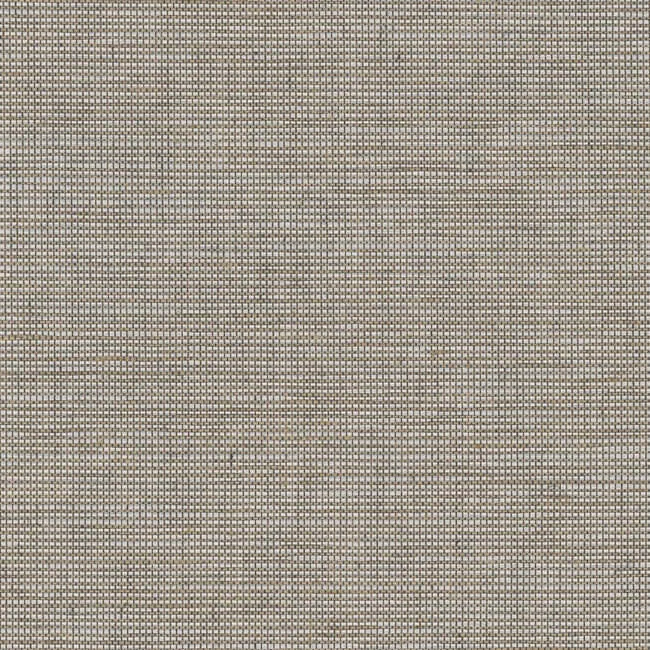 York Wallcoverings Cadence wallpaper, color Birchbark, SKU 212-02