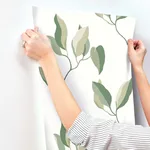 York Wallcoverings Brushwork Branches - Leaf Green Wallpaper | Buy Online York Wallcoverings Brushwork Branches wallpaper, color Leaf Green, SKU ZM2872