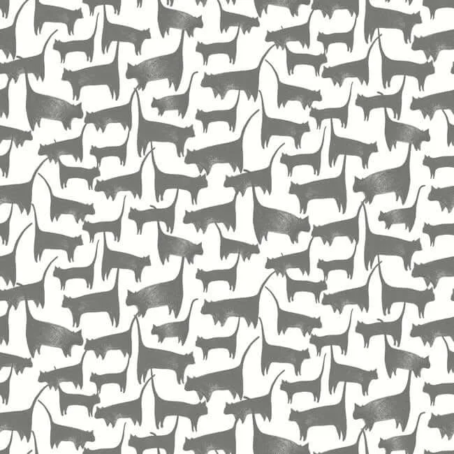 York Wallcoverings Cat Tails wallpaper, color Black, SKU PSW1340RL