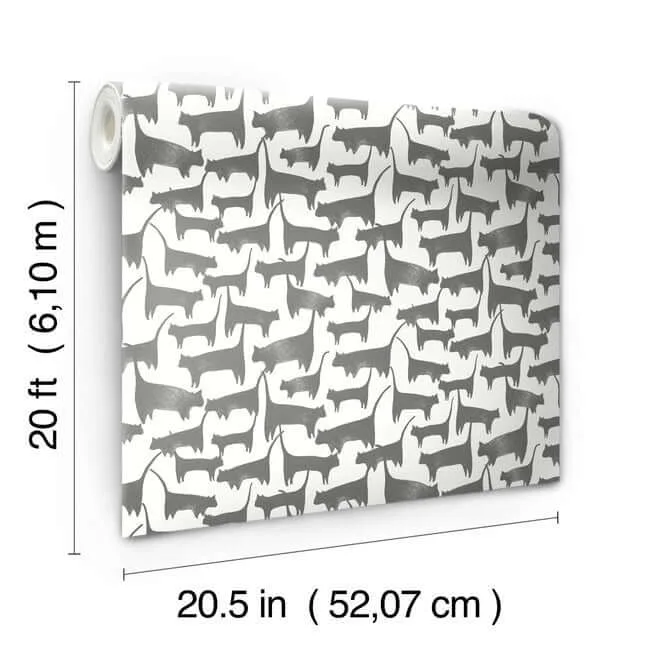 York Wallcoverings Cat Tails - Black Wallpaper | Buy Online York Wallcoverings Cat Tails wallpaper, color Black, SKU PSW1340RL