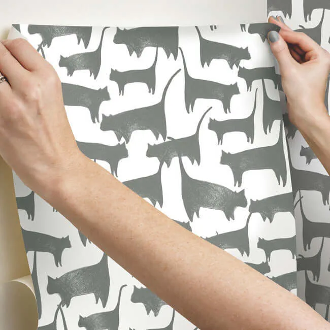 York Wallcoverings Cat Tails - Black Wallpaper | Buy Online York Wallcoverings Cat Tails wallpaper, color Black, SKU PSW1340RL