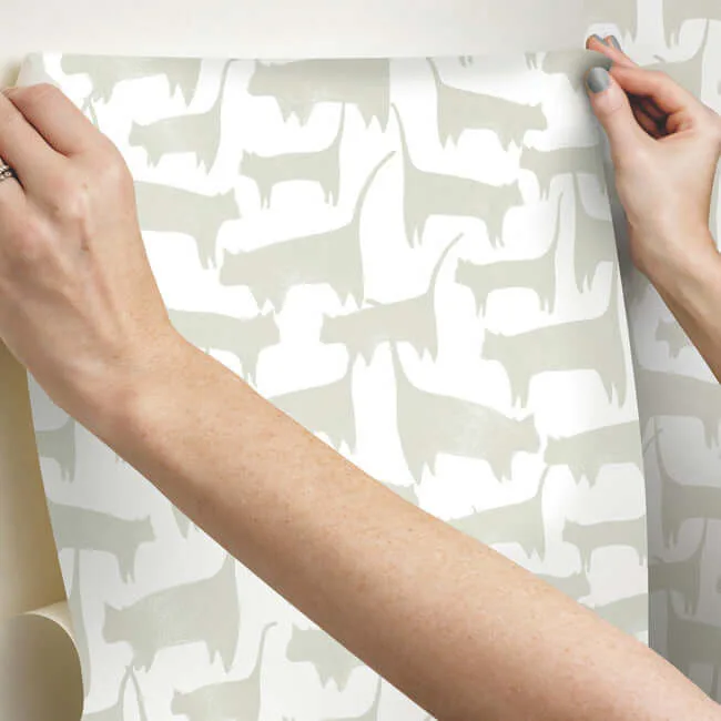 York Wallcoverings Cat Tails - Beige Wallpaper | Buy Online York Wallcoverings Cat Tails wallpaper, color Beige, SKU PSW1341RL