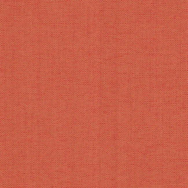 York Wallcoverings Hint wallpaper, color Cayenne, SKU 203-24