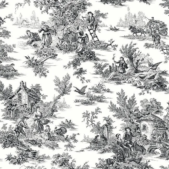 York Wallcoverings Campagne Toile wallpaper, color Black & White, SKU AT4228
