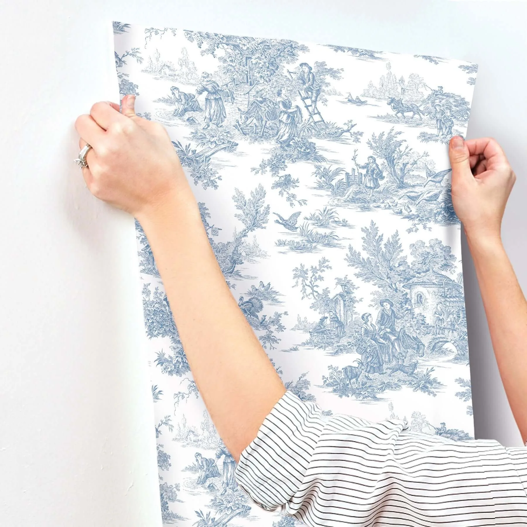 York Wallcoverings Campagne Toile wallpaper, color Blue & White, SKU AT4229