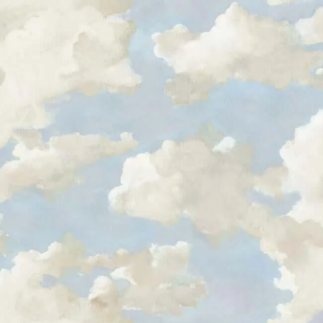 York Wallcoverings Clouds on Canvas wallpaper, color Blue, SKU PSW1079RL