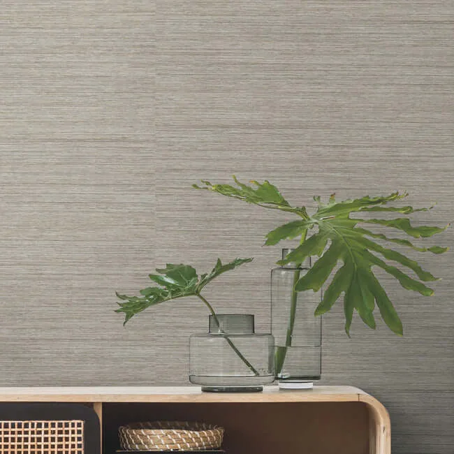 York Wallcoverings Trousseau - Cream Wallpaper | Buy Online York Wallcoverings Trousseau wallpaper, color Cream, SKU 200-03