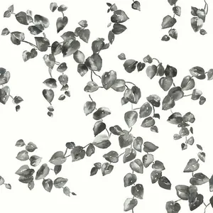 York Wallcoverings Creeping Fig Vine wallpaper, color Black & White, SKU FH4038
