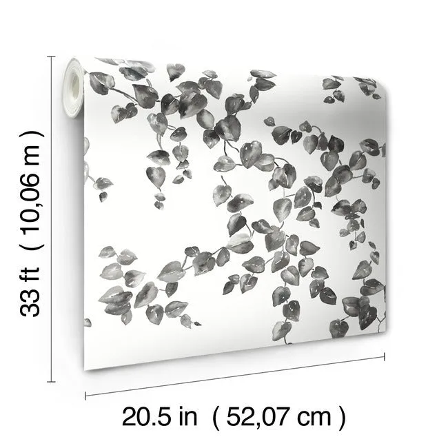 York Wallcoverings Creeping Fig Vine - Black & White Wallpaper | Buy Online York Wallcoverings Creeping Fig Vine wallpaper, color Black & White, SKU FH4038