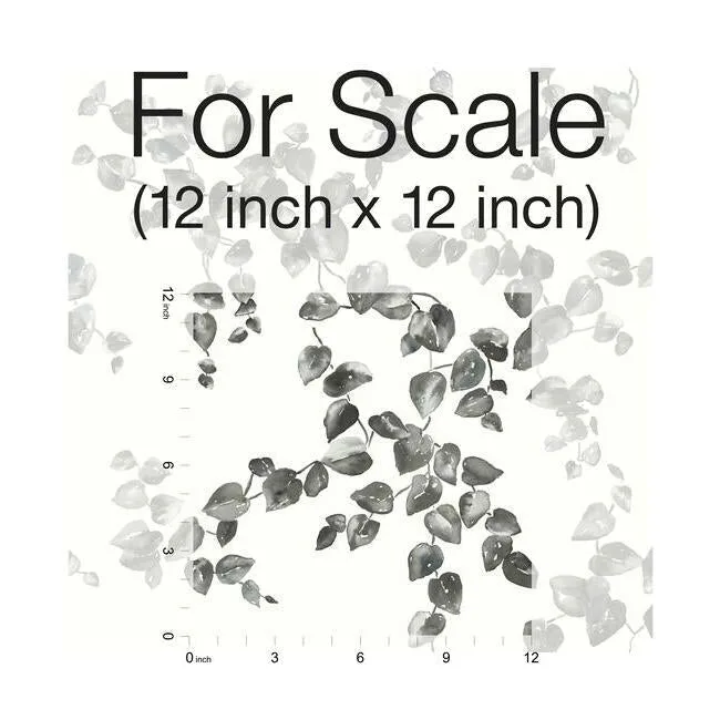 York Wallcoverings Creeping Fig Vine - Black & White Wallpaper | Buy Online York Wallcoverings Creeping Fig Vine wallpaper, color Black & White, SKU FH4038
