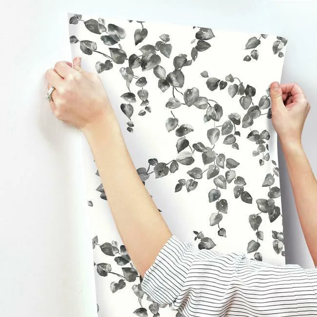York Wallcoverings Creeping Fig Vine - Black & White Wallpaper | Buy Online York Wallcoverings Creeping Fig Vine wallpaper, color Black & White, SKU FH4038