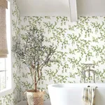 York Wallcoverings Creeping Fig Vine - Green Wallpaper | Buy Online York Wallcoverings Creeping Fig Vine wallpaper, color Green, SKU FH4036