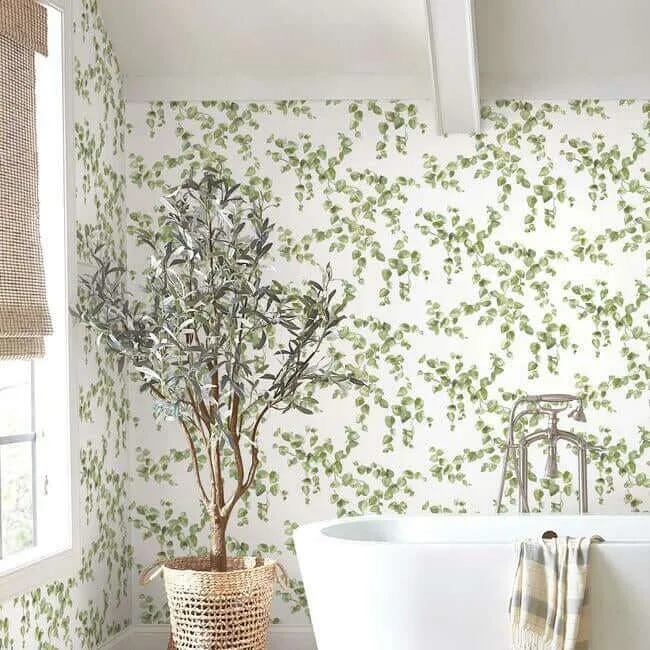 York Wallcoverings Creeping Fig Vine wallpaper, color Green, SKU FH4036
