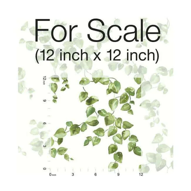 York Wallcoverings Creeping Fig Vine - Green Wallpaper | Buy Online York Wallcoverings Creeping Fig Vine wallpaper, color Green, SKU FH4036