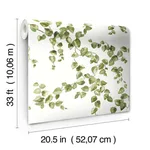 York Wallcoverings Creeping Fig Vine - Green Wallpaper | Buy Online York Wallcoverings Creeping Fig Vine wallpaper, color Green, SKU FH4036