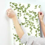 York Wallcoverings Creeping Fig Vine - Green Wallpaper | Buy Online York Wallcoverings Creeping Fig Vine wallpaper, color Green, SKU FH4036