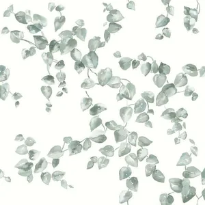 York Wallcoverings Creeping Fig Vine wallpaper, color Sage, SKU FH4037