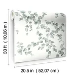 York Wallcoverings Creeping Fig Vine - Sage Wallpaper | Buy Online York Wallcoverings Creeping Fig Vine wallpaper, color Sage, SKU FH4037