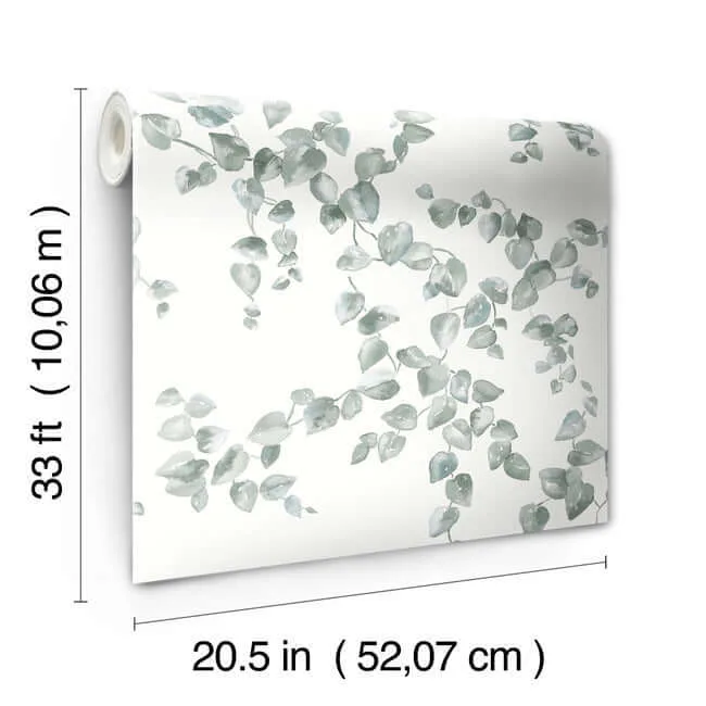 York Wallcoverings Creeping Fig Vine - Sage Wallpaper | Buy Online York Wallcoverings Creeping Fig Vine wallpaper, color Sage, SKU FH4037
