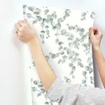 York Wallcoverings Creeping Fig Vine - Sage Wallpaper | Buy Online York Wallcoverings Creeping Fig Vine wallpaper, color Sage, SKU FH4037