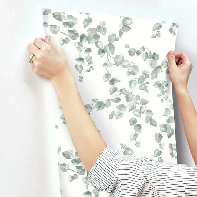 York Wallcoverings Creeping Fig Vine - Sage Wallpaper | Buy Online York Wallcoverings Creeping Fig Vine wallpaper, color Sage, SKU FH4037