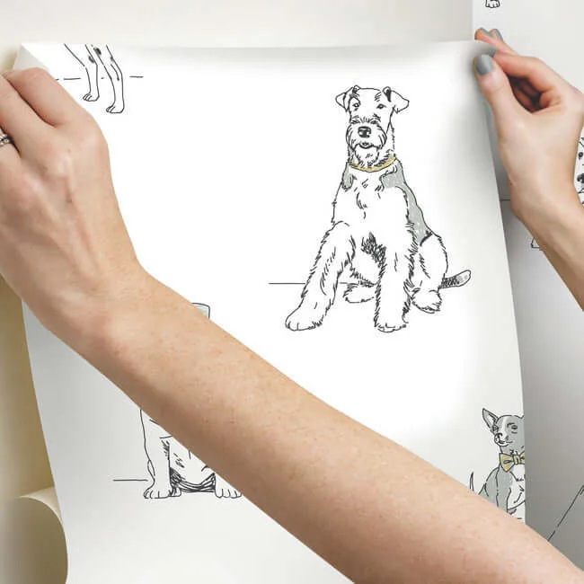 York Wallcoverings Dog's Life wallpaper, color Silver & Gold, SKU PSW1339RL