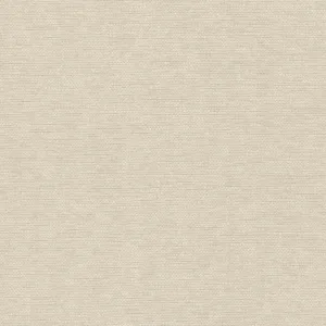 York Wallcoverings Hint wallpaper, color Dusky Ivory, SKU 203-06