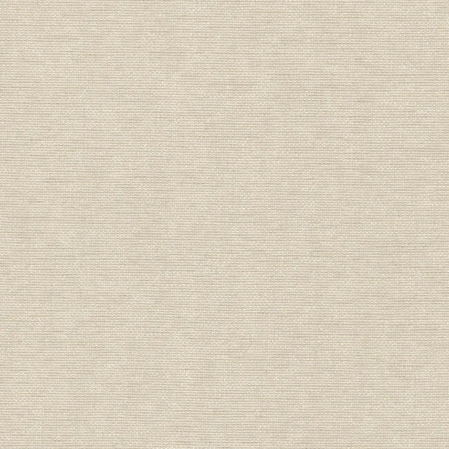 York Wallcoverings Hint wallpaper, color Dusky Ivory, SKU 203-06