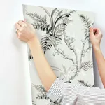 York Wallcoverings Enchanted Fern - Grey & Beige Wallpaper | Buy Online York Wallcoverings Enchanted Fern wallpaper, color Grey & Beige, SKU GR5995