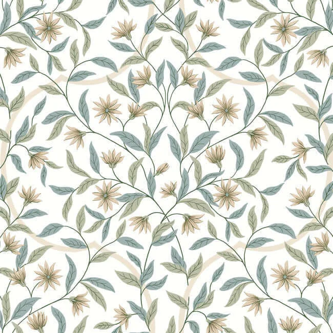 GO8253 | Jasmine – Jasmine