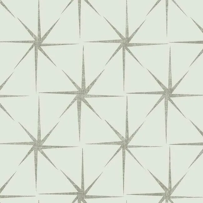 York Wallcoverings Evening Star wallpaper, color Silver, SKU GR5943